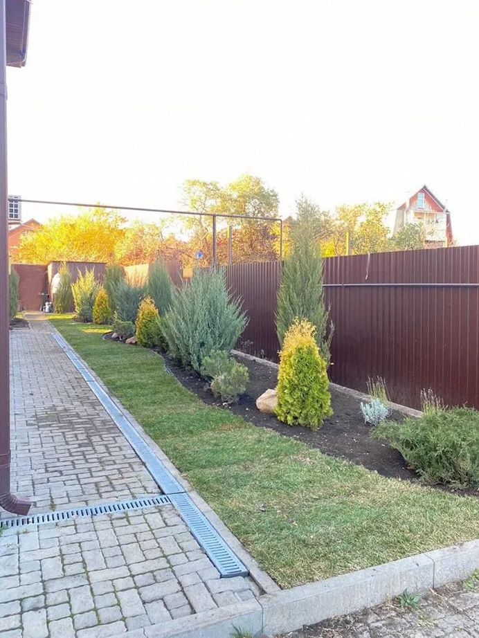 Высадка растений